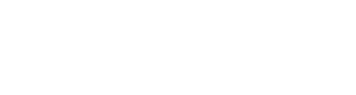 IT-Dienstleistungen Pisarev