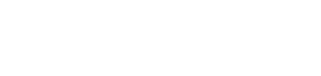 Pisarev IT